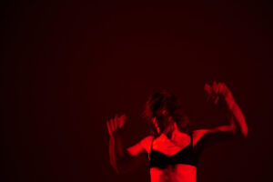 AEmulus 1 @Jean Francois Boisvenue 300dpi 300x200